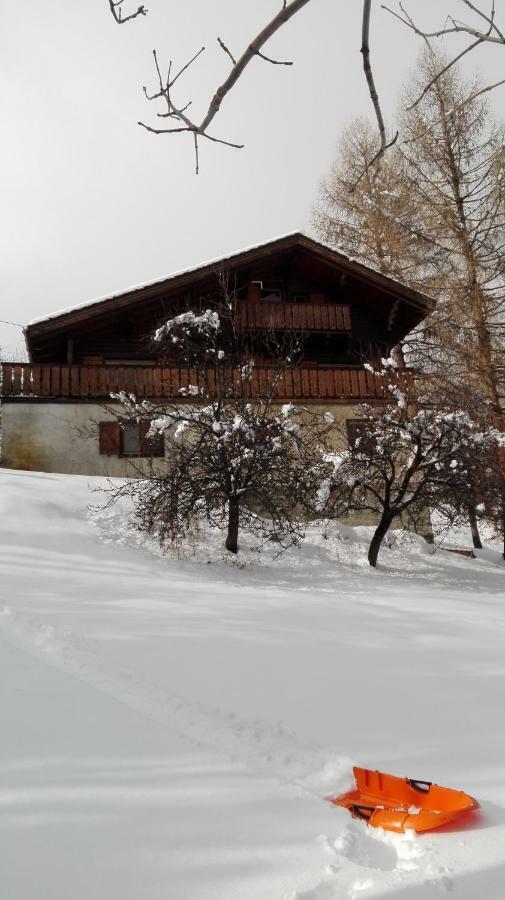 Bel Appartement Au Rez De Chaussee D'Un Chalet Jarrier Exteriör bild