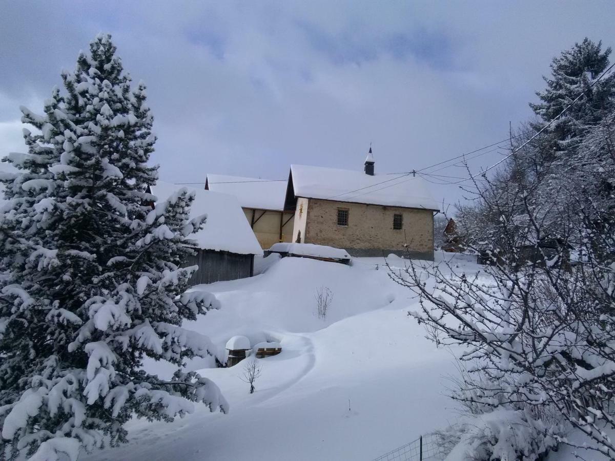 Bel Appartement Au Rez De Chaussee D'Un Chalet Jarrier Exteriör bild